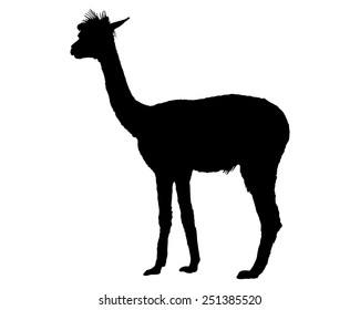 Guanaco silhouette