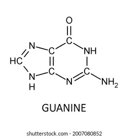 Guanine chemical formula. Vector editable