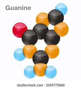 Guanine, G. Purine nucleobase molecule. Base present in DNA. 3D vector illustration on white background