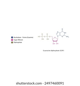 Guanosine diphosphate (GDP) skeletal structure schematic illustration, Nucleoside molecule.