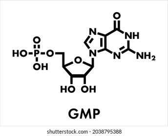 Guanosine monophosphate (GMP, guanylic acid) RNA building block molecule. Guanylate salts are used as umami flavor enhancers in food. Skeletal formula.