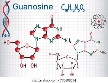 Guanosine - purine nucleoside molecule, is important part of GMP, GDP, cGMP , GTP, RNA. Structural chemical formula and molecule model. Sheet of paper in a cage.
Vector illustration
