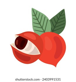 vector de ilustración de berry de guarana aislado