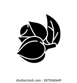 Guarana Black Glyph Icon. Organic Stimulant. Tropical Plant. Supplement Ingredient For Energy Drink. Herbal Additive For Nourishment. Silhouette Symbol On White Space. Vector Isolated Illustration