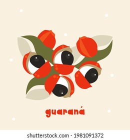 Guarana, fruit from the Amazon. Seeds and leaves. Handmade vector illustration. Original in Brazil, Peru, Colombia and Venezuela. Red Green. Drawing, Brazilian culture.