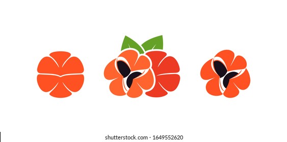 Guarana logo. Isolated  guarana on white background