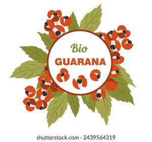 Logotipo de planta de guaraná para diseño de empaques, corona con hojas y frutas con espacio de copia redondo. Superalimento antioxidante medicinal. Ilustración de vector