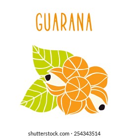 Guarana. Vector EPS 10 ilustración dibujada a mano.