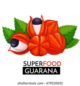 Icono vectorial de la Guarana. Sano detox producto natural supercomida ilustración para el diseño de menú del mercado superalimentos .