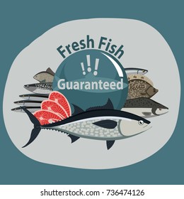 Guaranteed fresh fish. Composition from different types of fish and shrimp