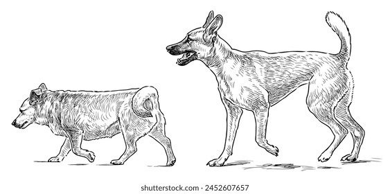 Guard dog terrier pets purebred realistic two domestic animals vector hand drawn illustration isolated on white