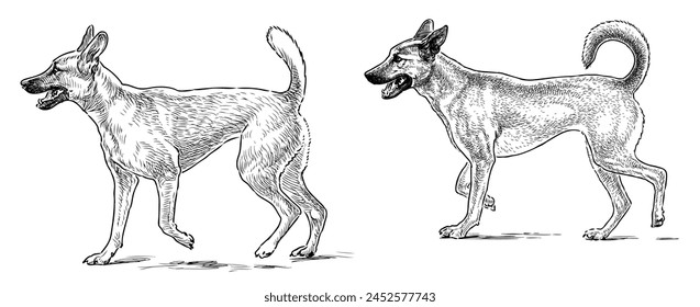 Guard dogs german shepherd pets purebred realistic two domestic animals vector hand drawn illustration isolated on white