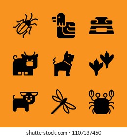 guard, shape, dog and feather icon set. Vector illustration for web and design.