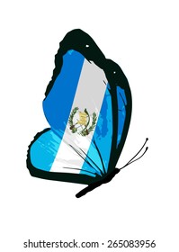 Guatemala flag butterfly - vector