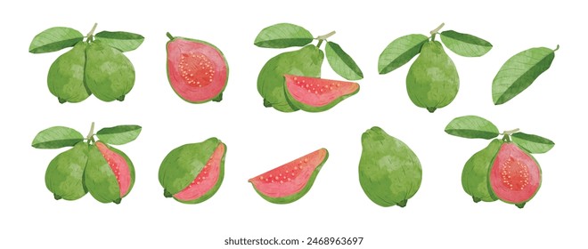 Guava Design elements set. watercolour style vector illustration.