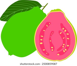 Guava flat art for vector image