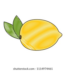 guava fresh fruit healthy