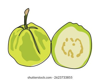 Guava fruit in a continuous line drawing on a white background.