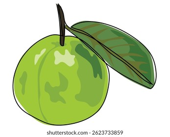 Guava fruit in a continuous line drawing on a white background.