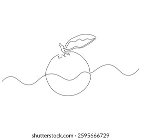 Guava fruit continuous line. Continuous one line drawing of Guava. Guava seed concept. single line drawing