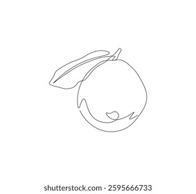 Guava fruit continuous line. Continuous one line drawing of Guava. Guava seed concept. single line drawing