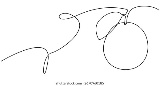 Linha contínua de fruta de goiaba. Desenho contínuo de uma linha de Guava. Conceito de semente de goiaba. desenho de linha única. 