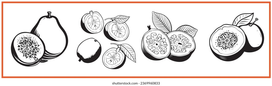 guava fruit flat minimal vector logo style silhouette collection - Shutterstock ID 2369960833