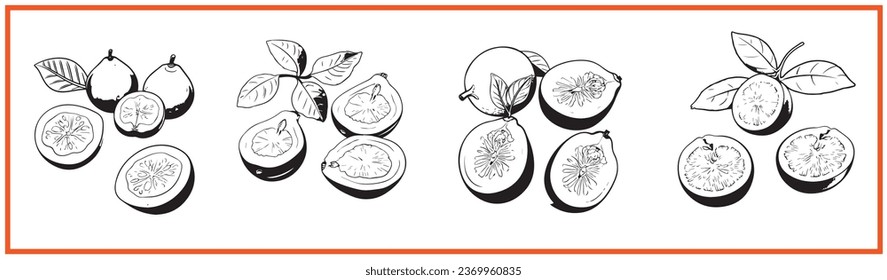 guava fruit flat minimal vector logo style silhouette collection - Shutterstock ID 2369960835