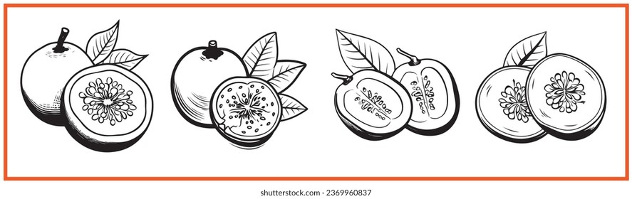 guava fruit flat minimal vector logo style silhouette collection - Shutterstock ID 2369960837