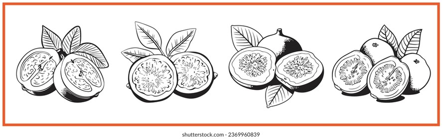 guava fruit flat minimal vector logo style silhouette collection - Shutterstock ID 2369960839