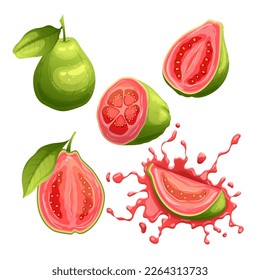 guava fruit fresh set cartoon. food green, organic ripe, half tropical, raw juice, slice, cut juicy exotic guava fruit fresh vector illustration