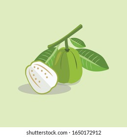 Guava fruit. guava icon in flat style. Vector illustration on green background