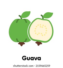Guava fruit icon, Vector, Illustration.