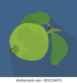 Vector de iconos de la fruta de guayaba aislado