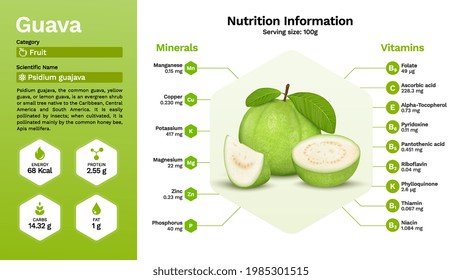 Guava und seine Ernährungseigenschaften - Vektorgrafik