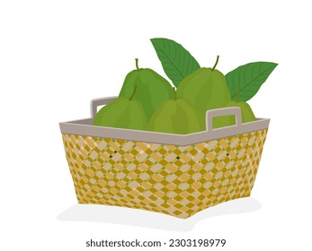 fruta de guayaba de fondo blanco.