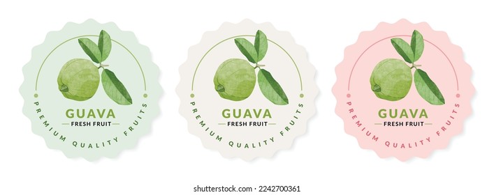 Plantillas de diseño de embalajes de frutas de guayaba, ilustración vectorial de estilo acuarela.