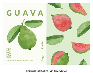 Guava fruit packaging design templates, watercolour style vector illustration.