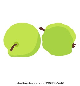 Guava fruit in Thailand, local fruit in tropical, vector illustration in flat cartoon design.