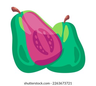 Guava fruit vector drawing illustration sliced half