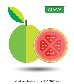 Guava, Fruit Vector Illustration