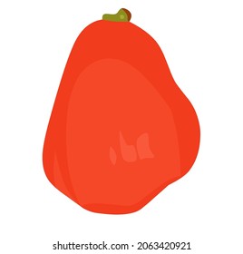 guava fruit vector illustration image