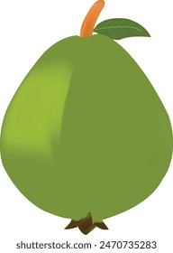 Guava Fruit White Background Isolated