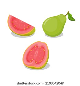 Guava fruit whole and slice object collection set illustration vector