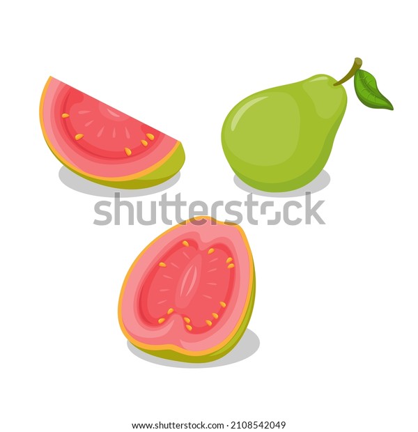 12,991 Guava Fruit Vector Images, Stock Photos & Vectors | Shutterstock