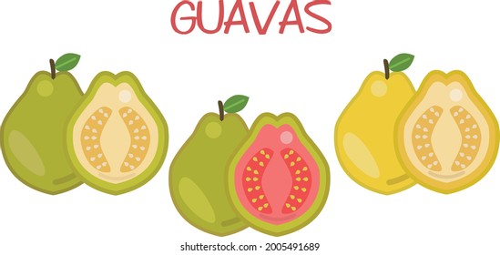 Guava Fruits Vector Icon Set. Green Guava And Yellow Guava. Fresh Sweet Fruits. Guava Illustration On White Background