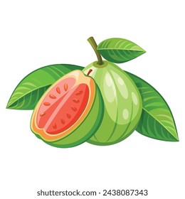 Guava with half guava fruit isolated flat vector illustration