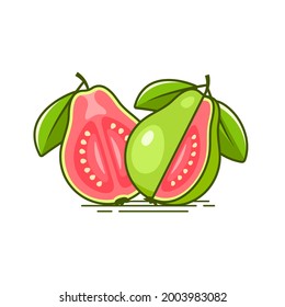 Guava Half Pieces Vector Illustration