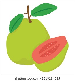 Guava icon isolated vector illustration, peel Guava, sweet fruits, Green fruit and a bunch of Guava, tropical fruits, Guava snacks or vegetarian nutrition, Jambu, buah, buah Jambu, Jambu Biji
