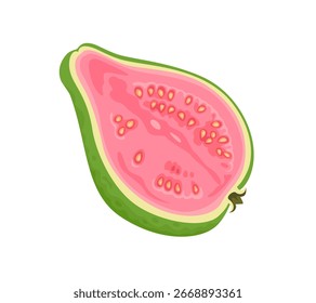 Guayaba aislada sobre fondo blanco. Ilustración plana de dibujos animados de Vector. Icono de fruta a la mitad.